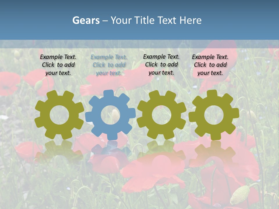 Red Poppies PowerPoint Template