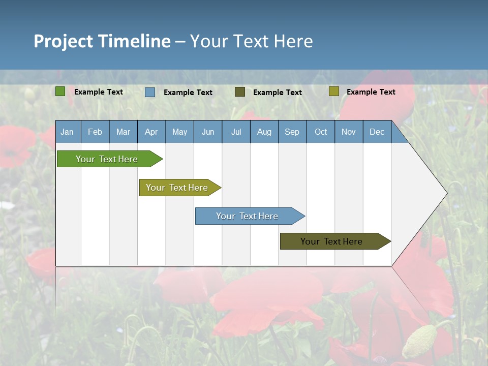Red Poppies PowerPoint Template