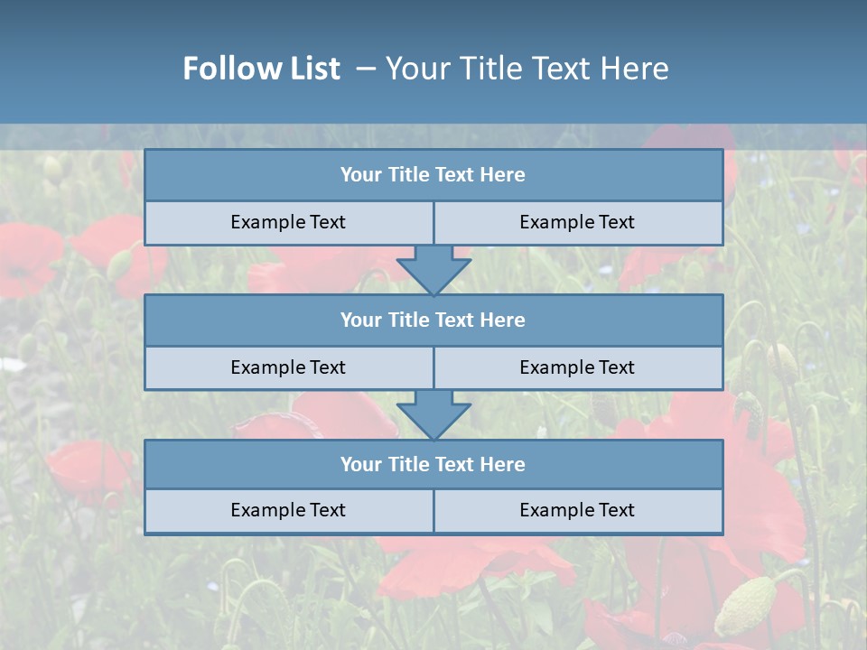 Red Poppies PowerPoint Template