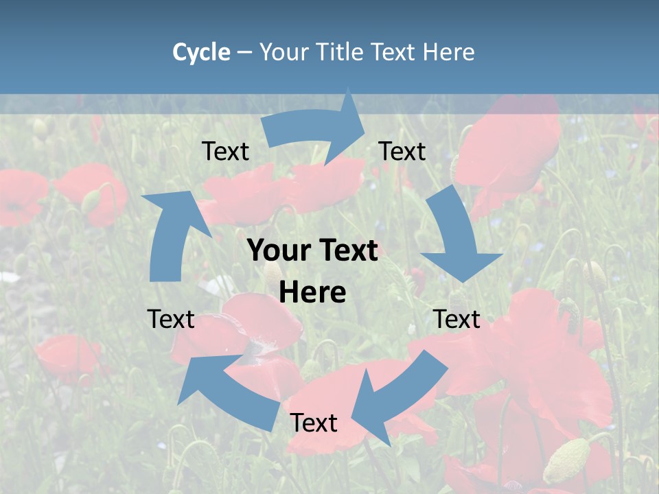 Red Poppies PowerPoint Template