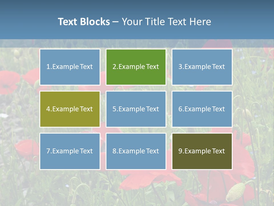 Red Poppies PowerPoint Template