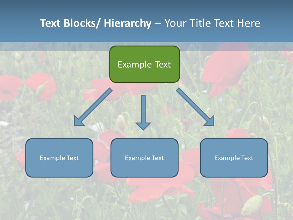 Red Poppies PowerPoint Template