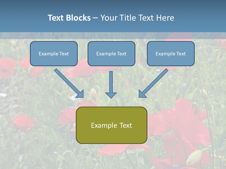 Red Poppies PowerPoint Template