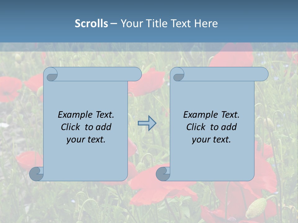 Red Poppies PowerPoint Template