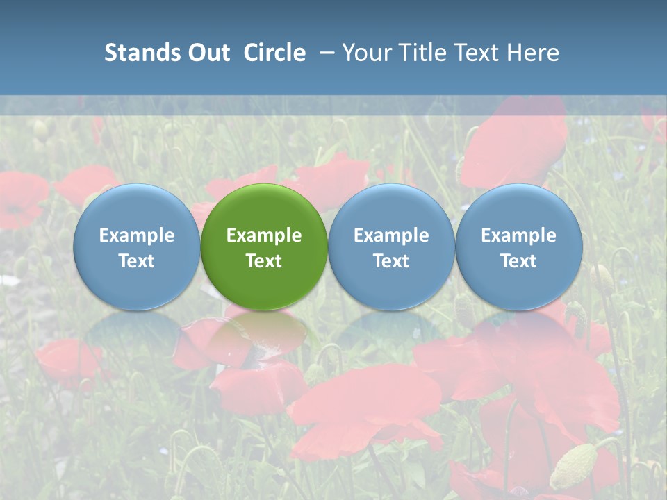 Red Poppies PowerPoint Template