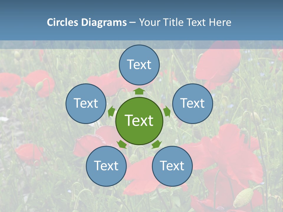 Red Poppies PowerPoint Template