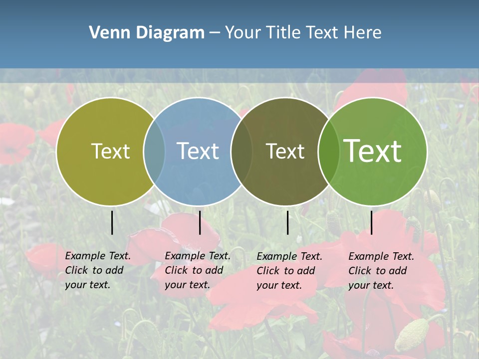 Red Poppies PowerPoint Template