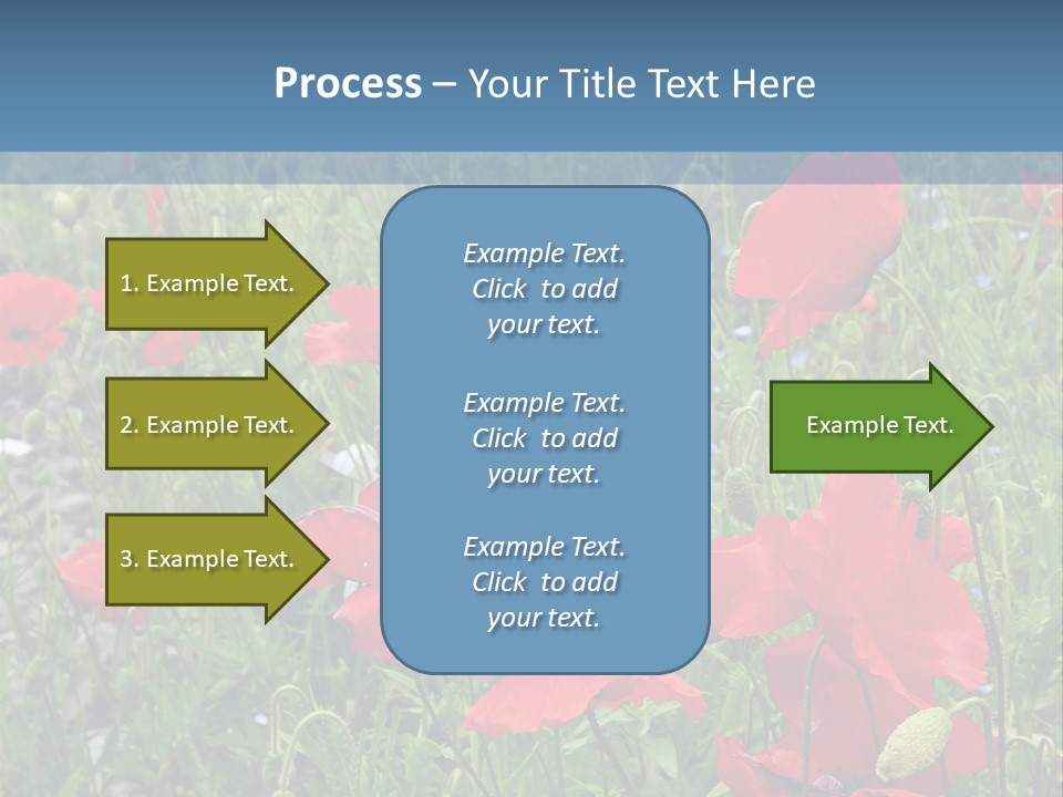 Red Poppies PowerPoint Template