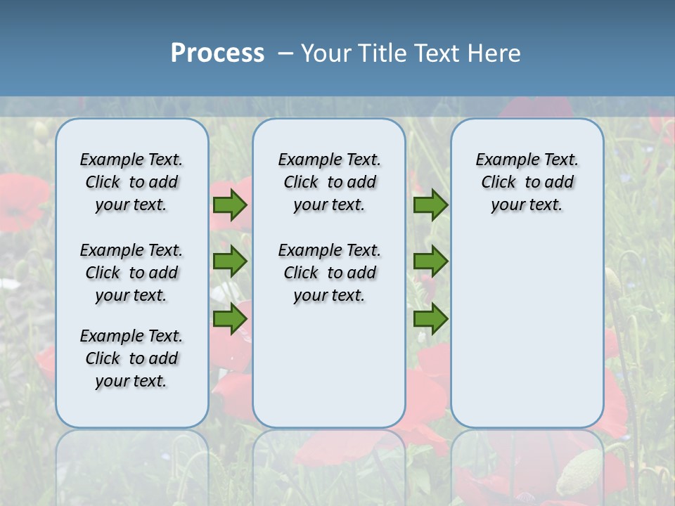Red Poppies PowerPoint Template