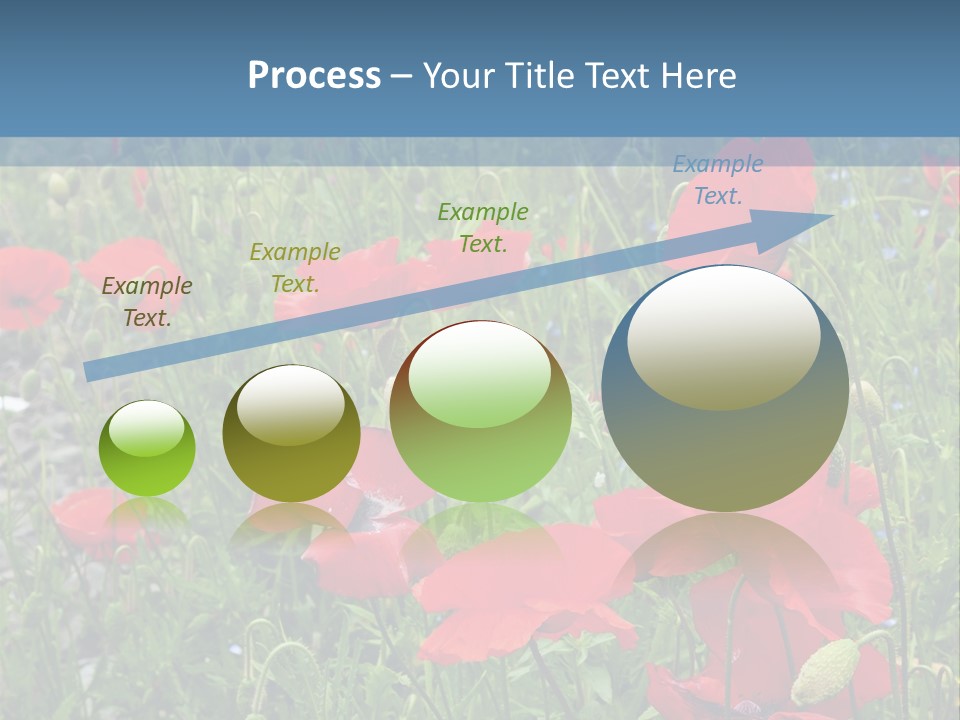 Red Poppies PowerPoint Template
