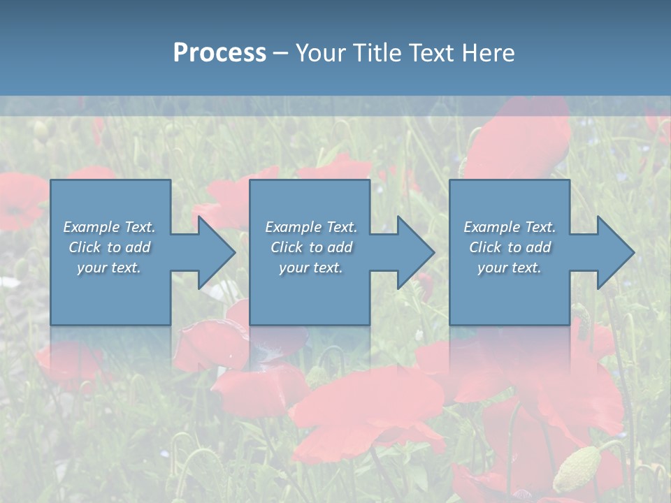 Red Poppies PowerPoint Template