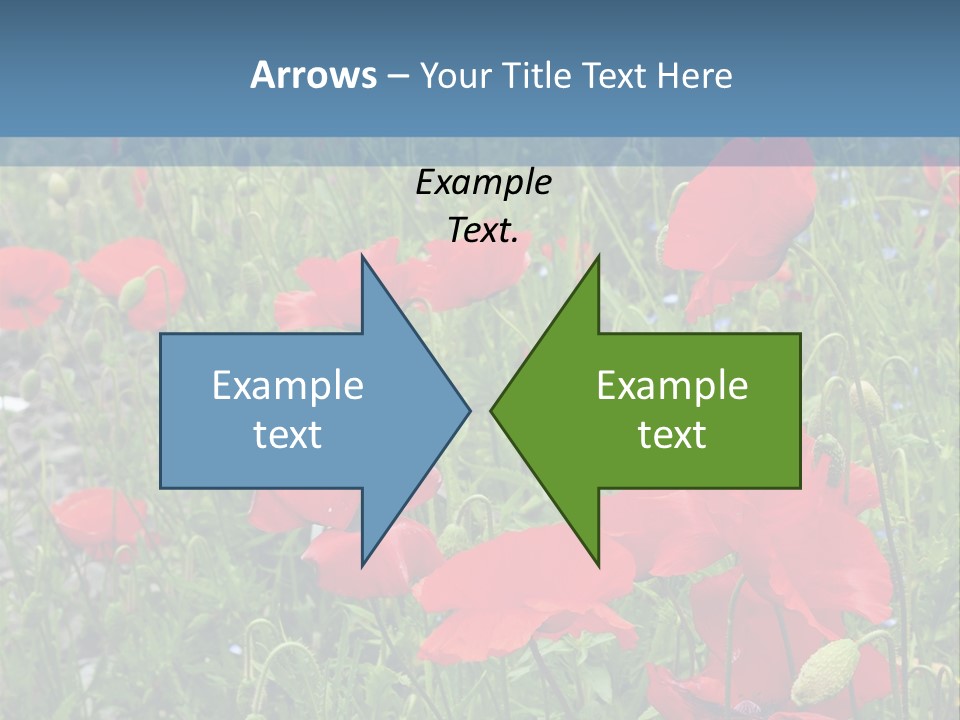 Red Poppies PowerPoint Template