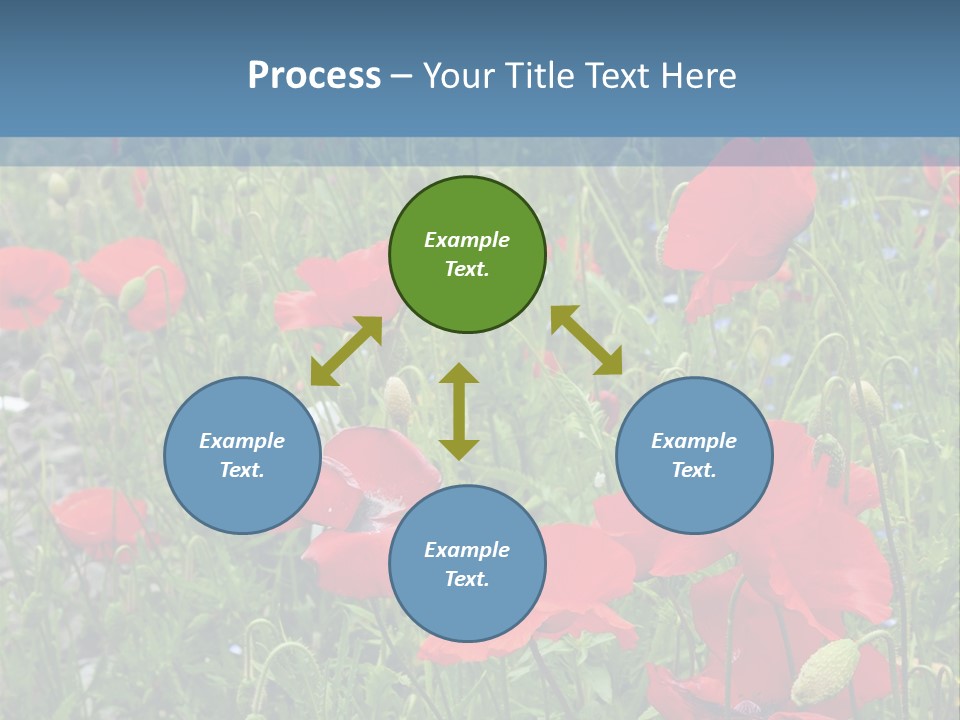 Red Poppies PowerPoint Template