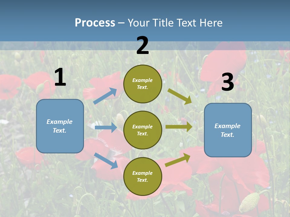 Red Poppies PowerPoint Template