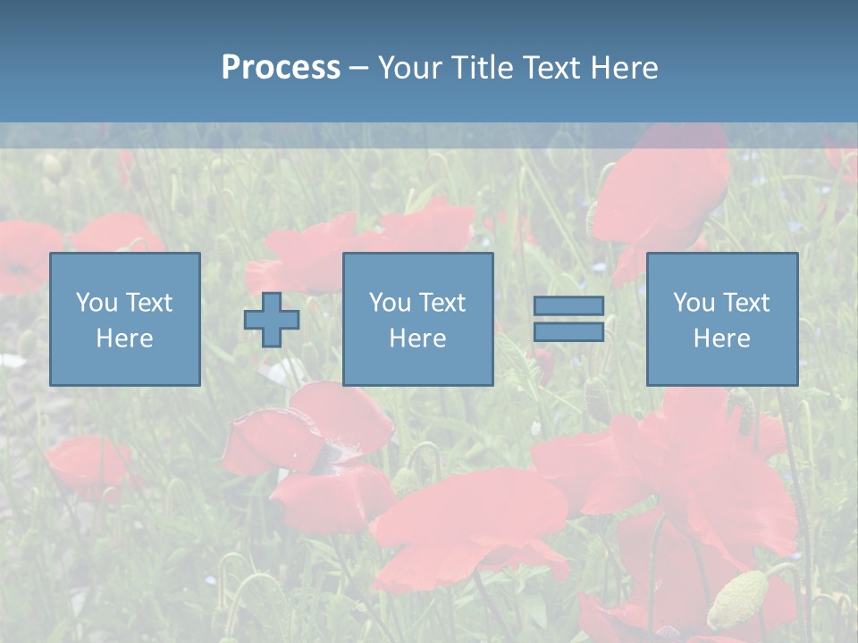 Red Poppies PowerPoint Template