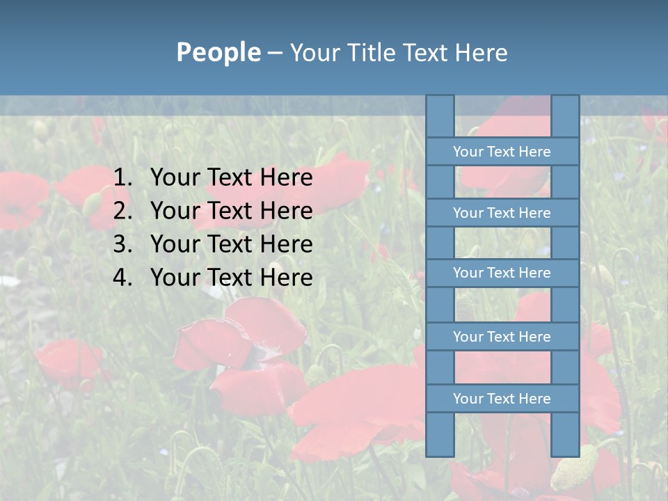 Red Poppies PowerPoint Template