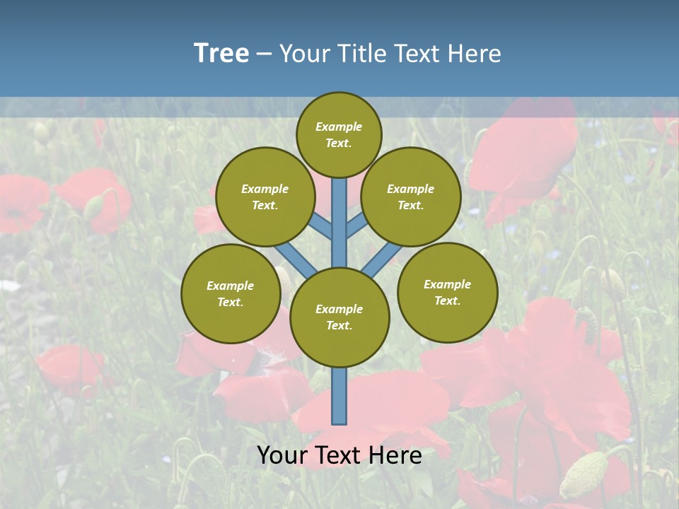 Red Poppies PowerPoint Template
