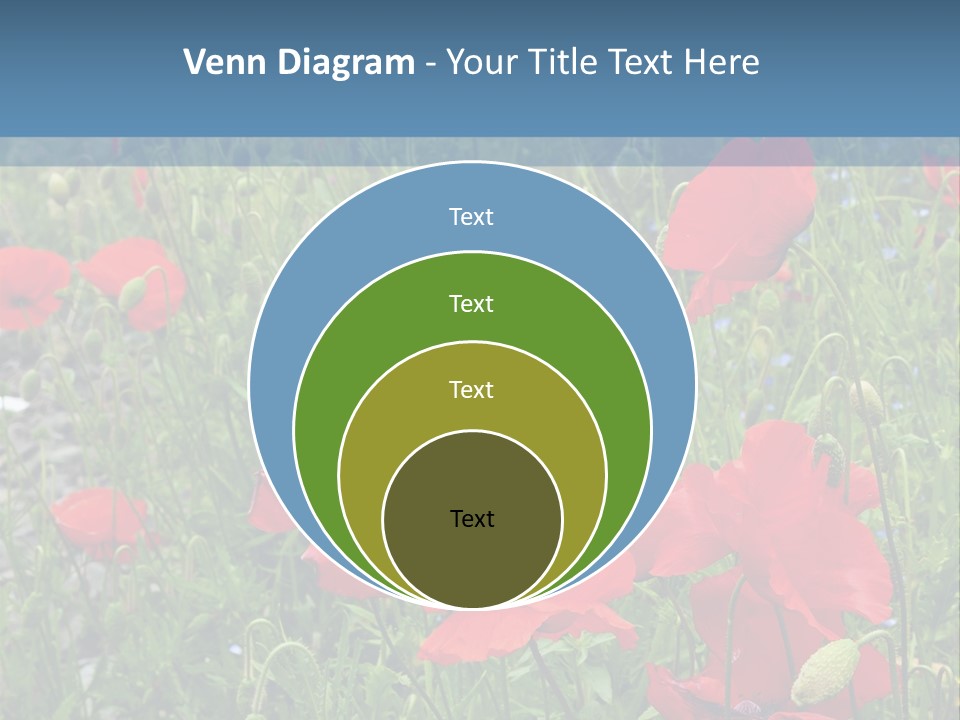 Red Poppies PowerPoint Template