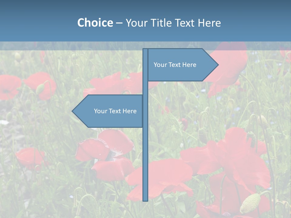 Red Poppies PowerPoint Template