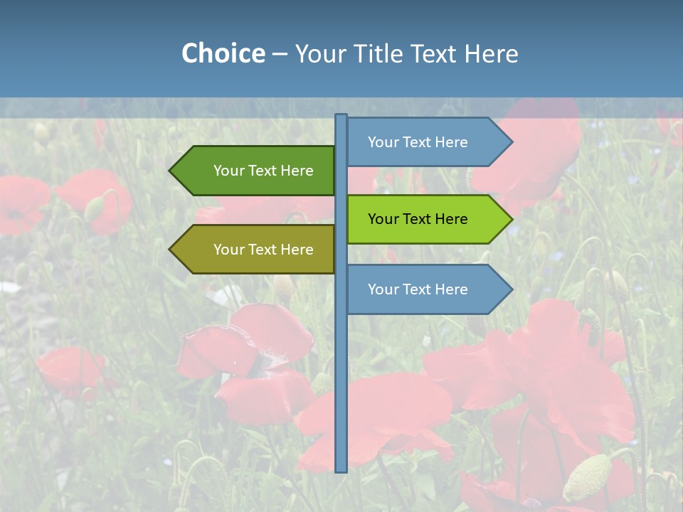 Red Poppies PowerPoint Template