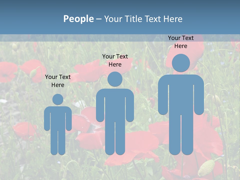 Red Poppies PowerPoint Template