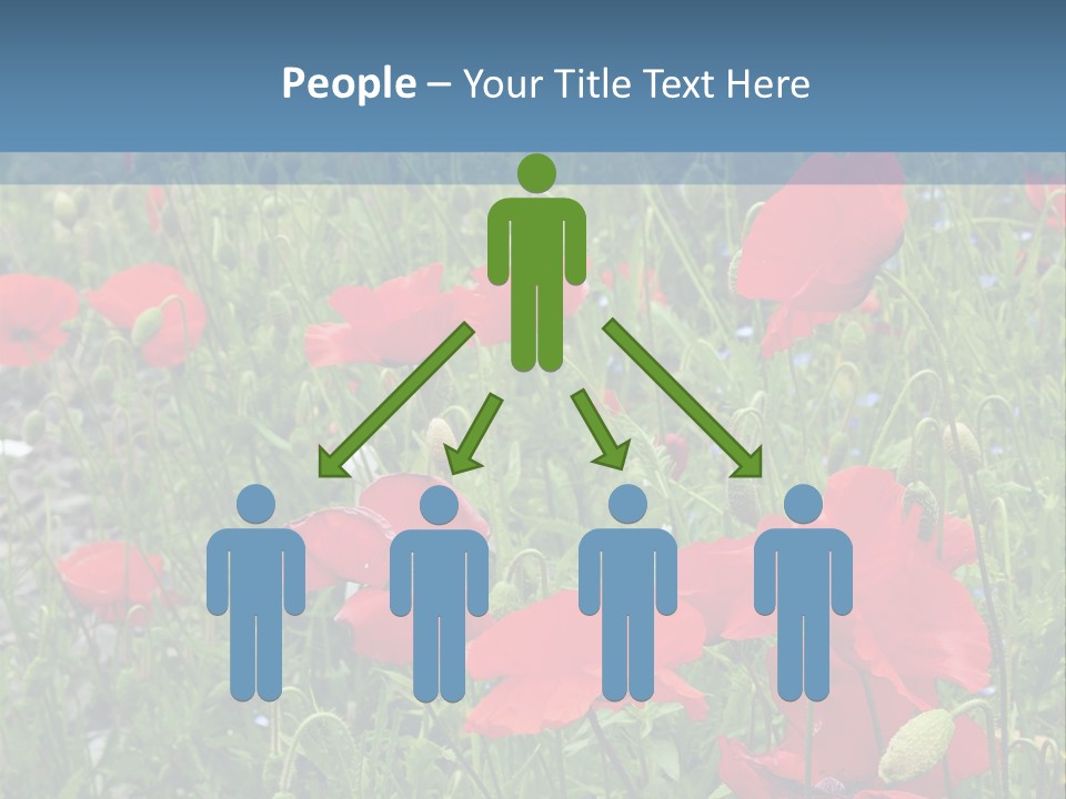 Red Poppies PowerPoint Template