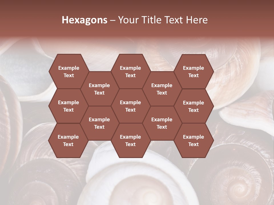 Sand Large Objects PowerPoint Template