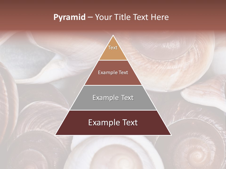 Sand Large Objects PowerPoint Template