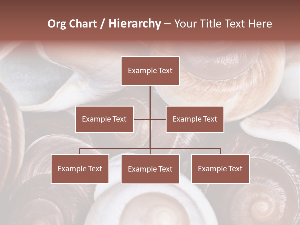 Sand Large Objects PowerPoint Template