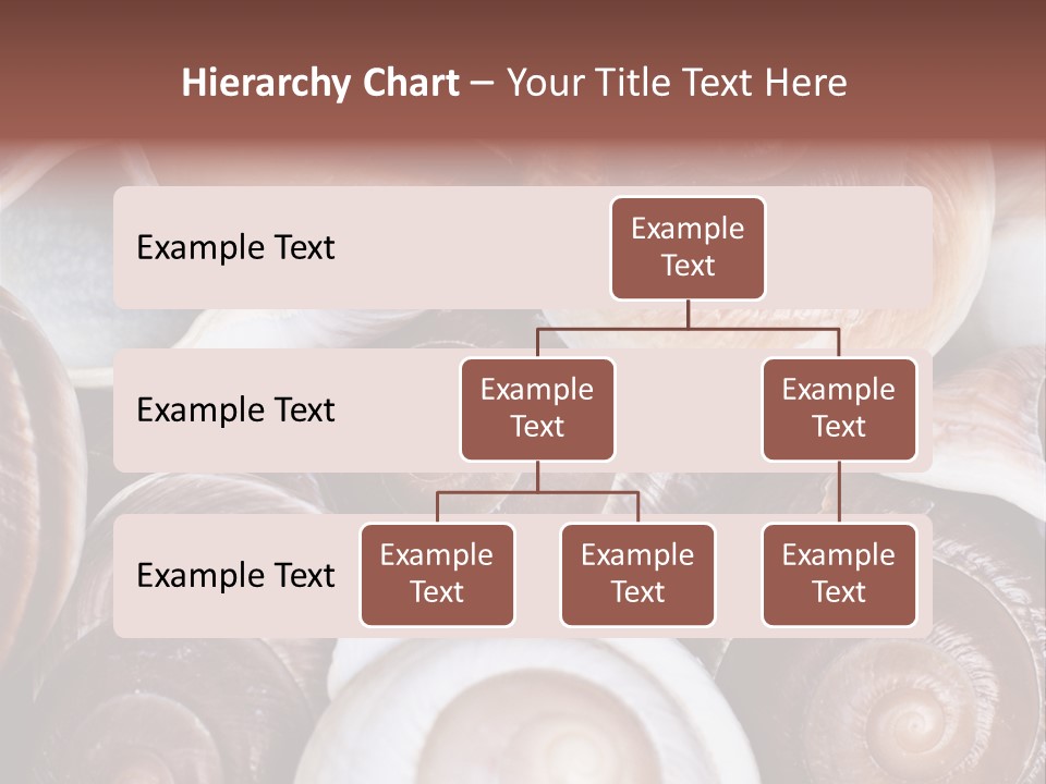 Sand Large Objects PowerPoint Template