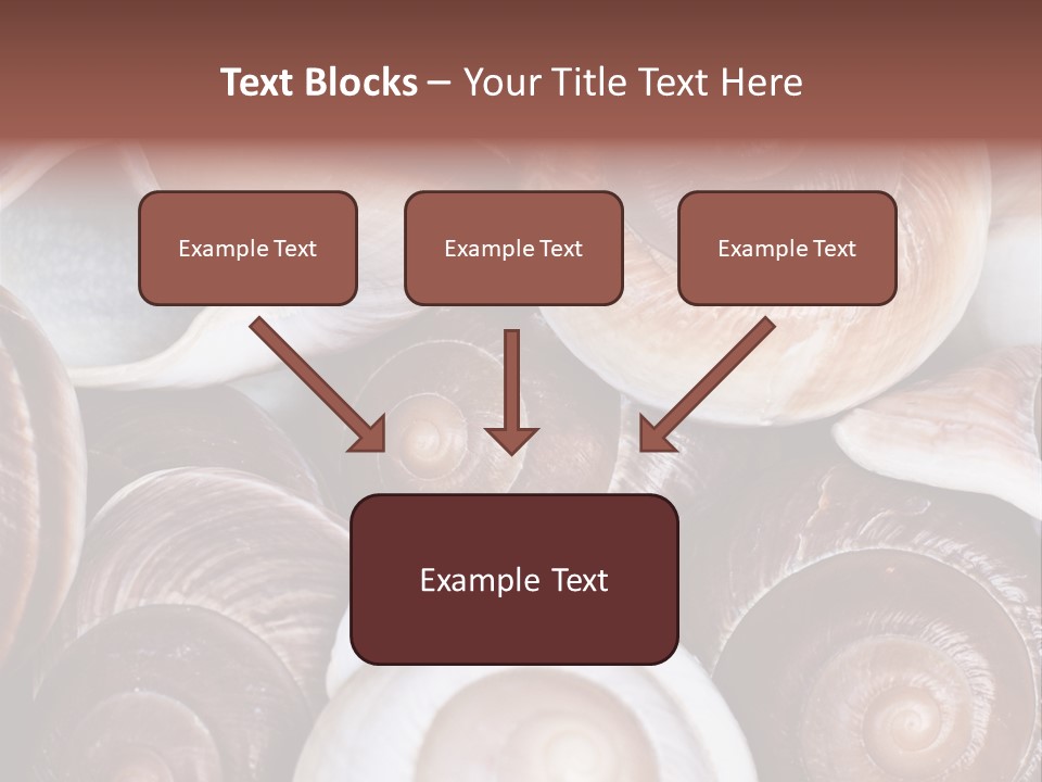Sand Large Objects PowerPoint Template