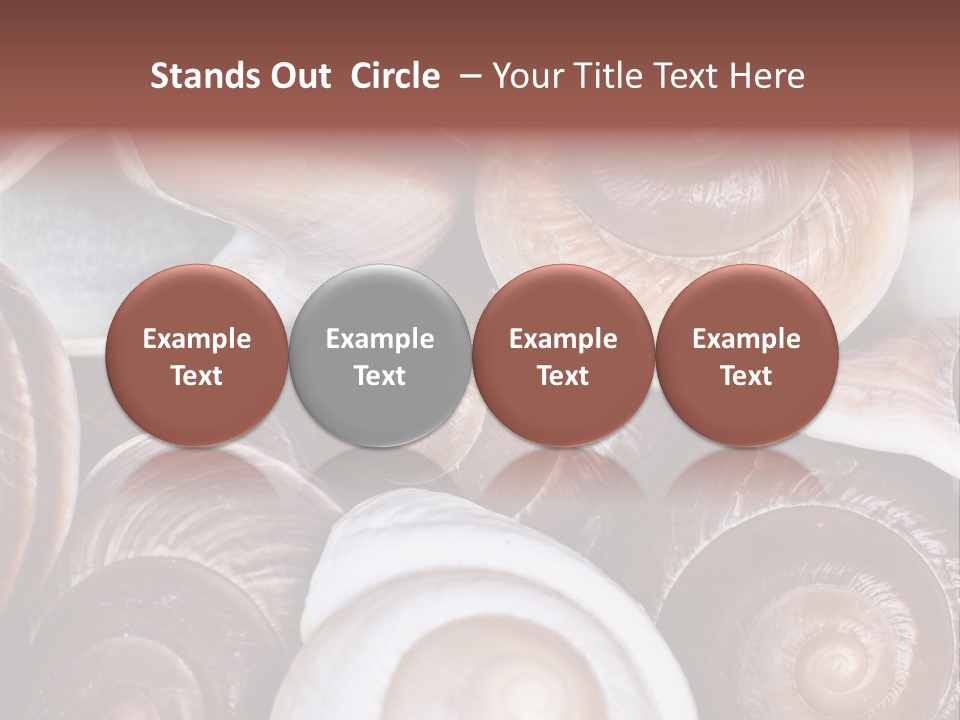 Sand Large Objects PowerPoint Template