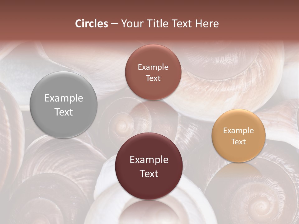 Sand Large Objects PowerPoint Template