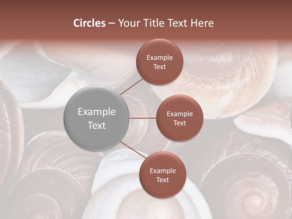 Sand Large Objects PowerPoint Template