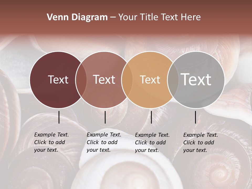 Sand Large Objects PowerPoint Template