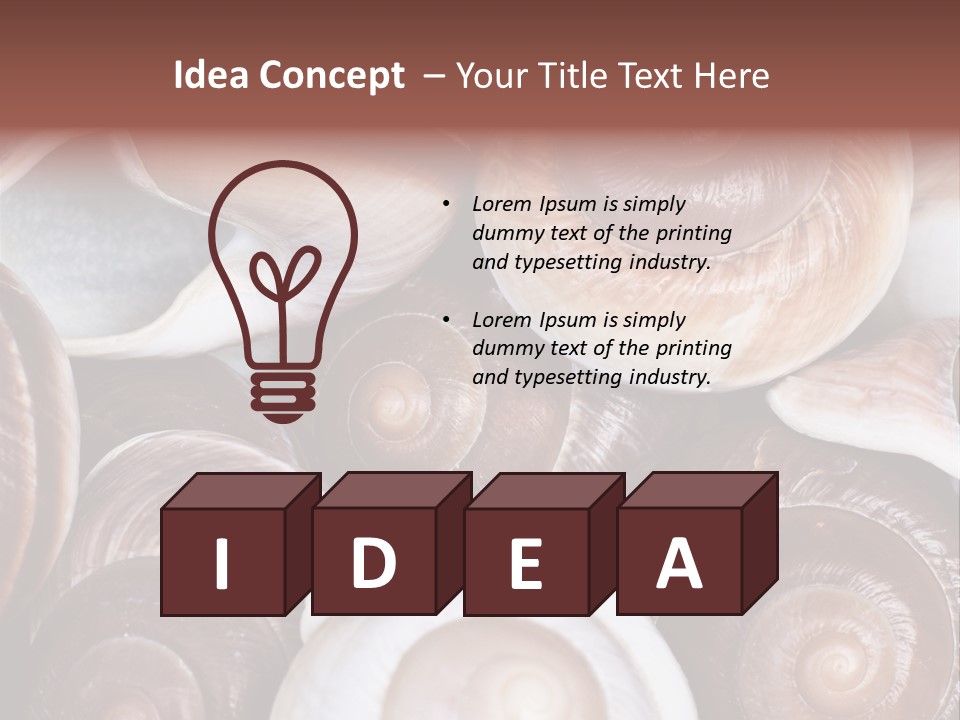 Sand Large Objects PowerPoint Template