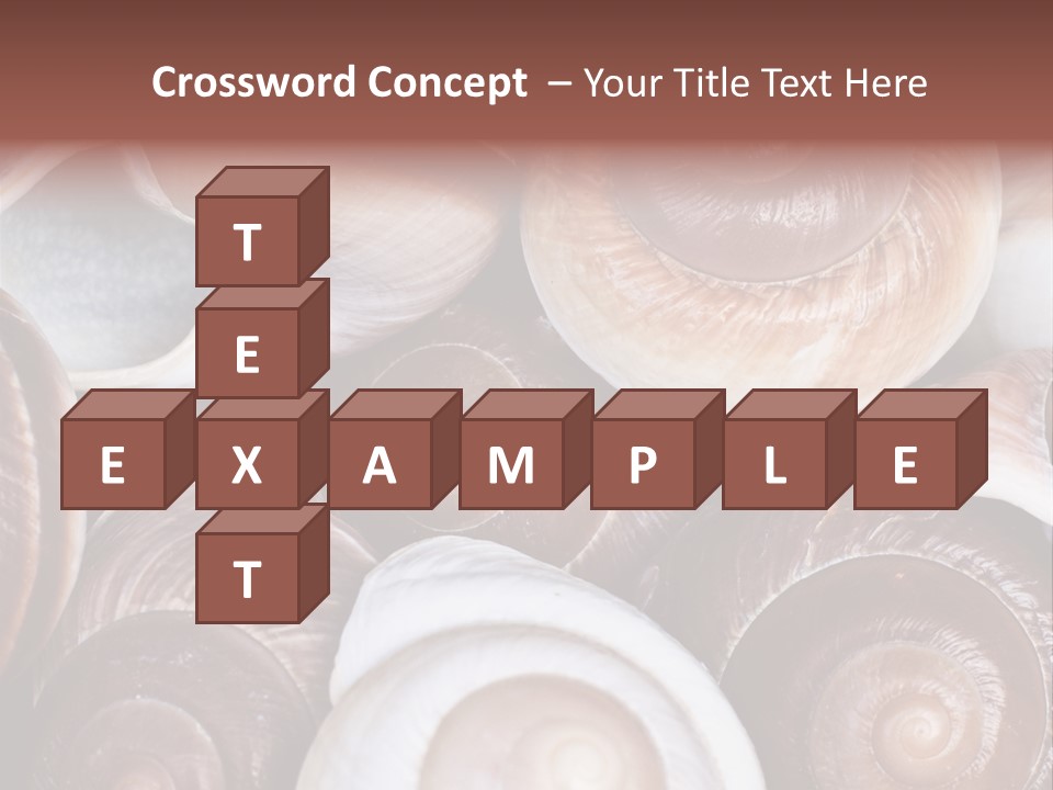 Sand Large Objects PowerPoint Template