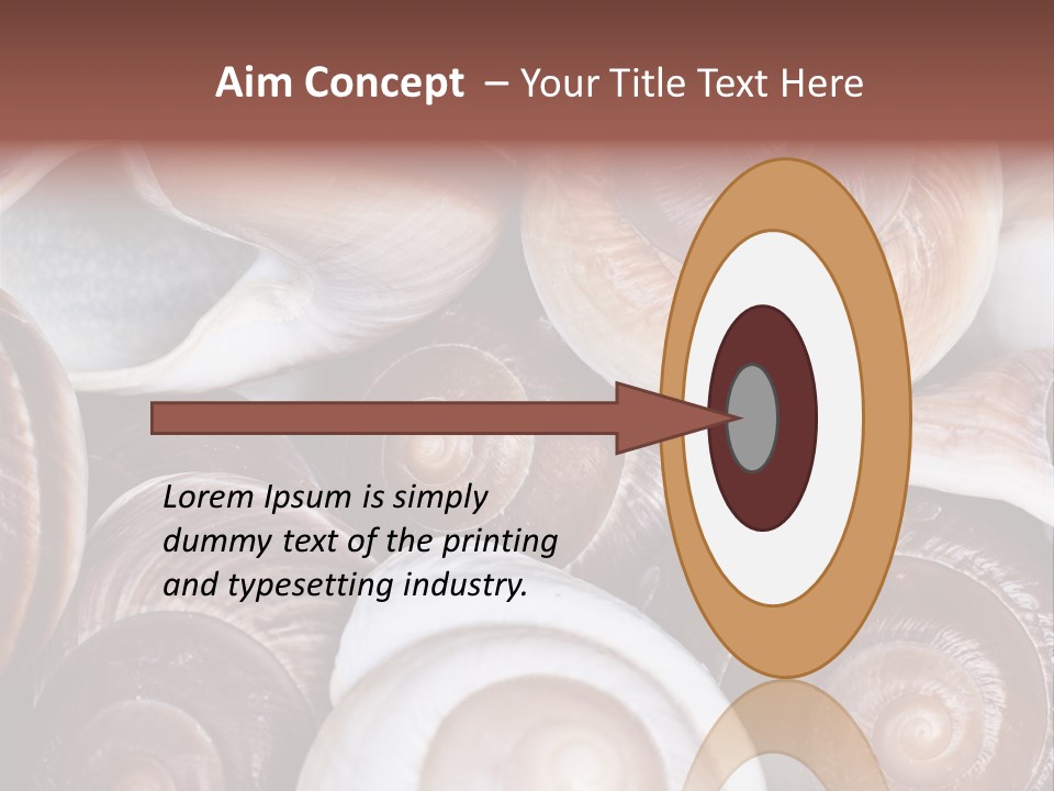 Sand Large Objects PowerPoint Template