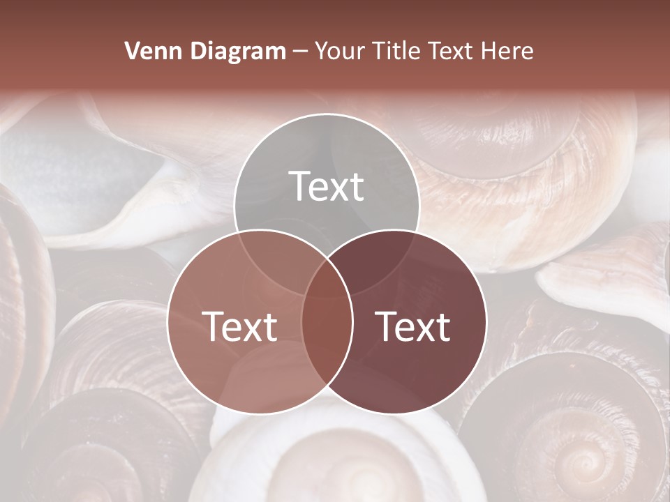 Sand Large Objects PowerPoint Template