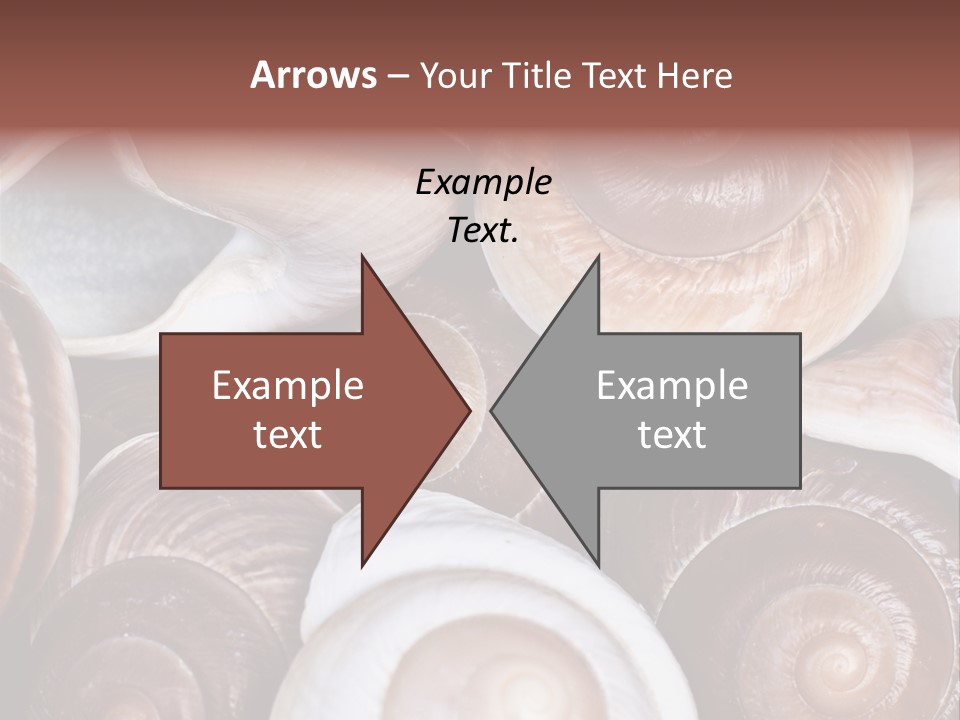 Sand Large Objects PowerPoint Template