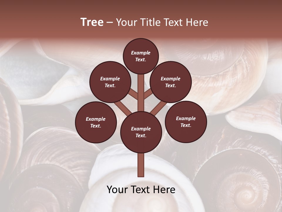 Sand Large Objects PowerPoint Template