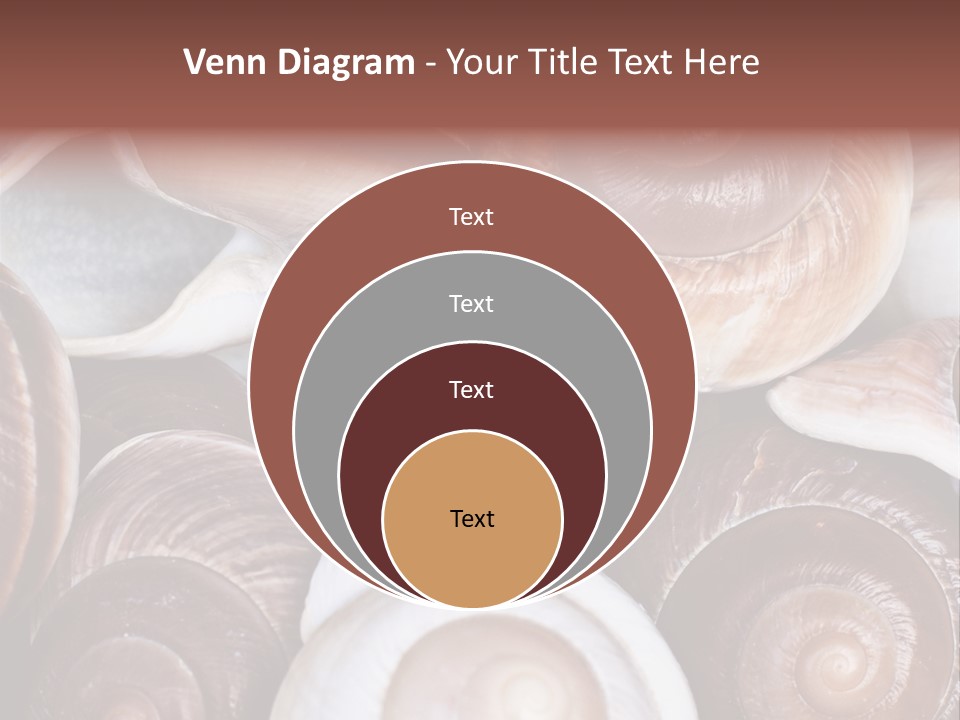 Sand Large Objects PowerPoint Template