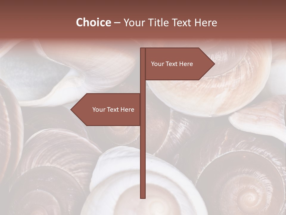 Sand Large Objects PowerPoint Template