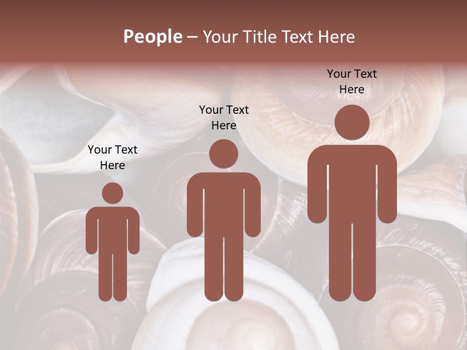 Sand Large Objects PowerPoint Template