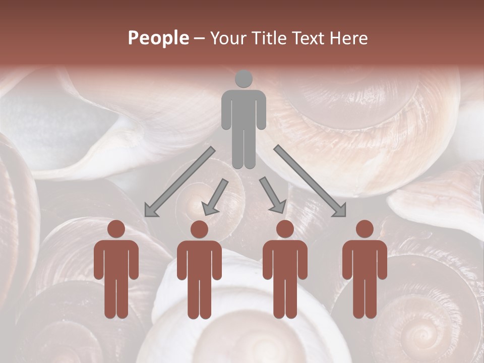 Sand Large Objects PowerPoint Template