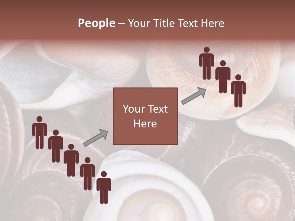 Sand Large Objects PowerPoint Template