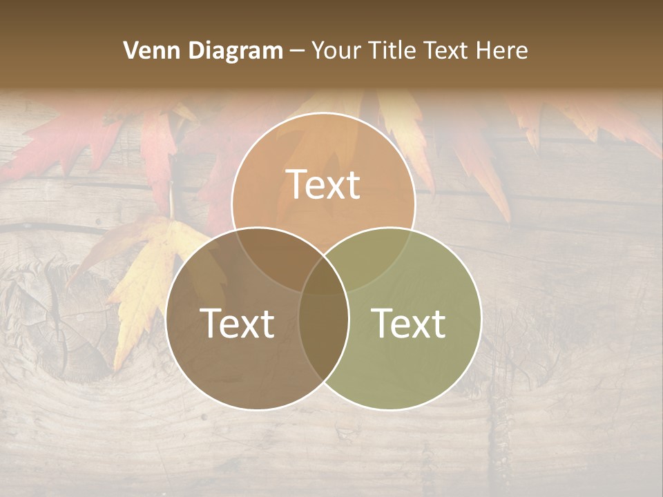 Design Fall Damaged PowerPoint Template