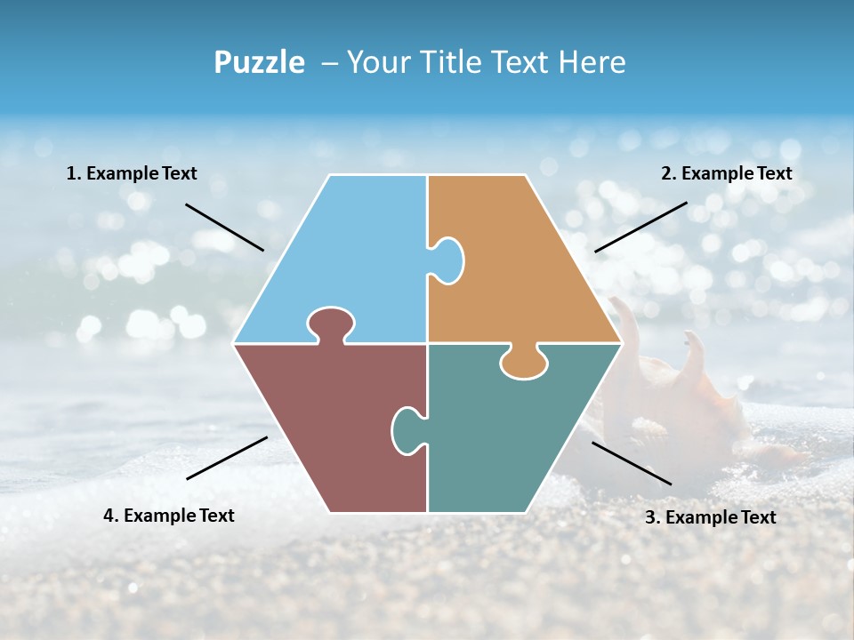 Shells On The Beach PowerPoint Template