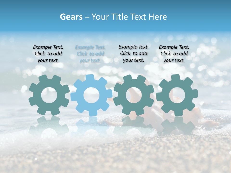 Shells On The Beach PowerPoint Template