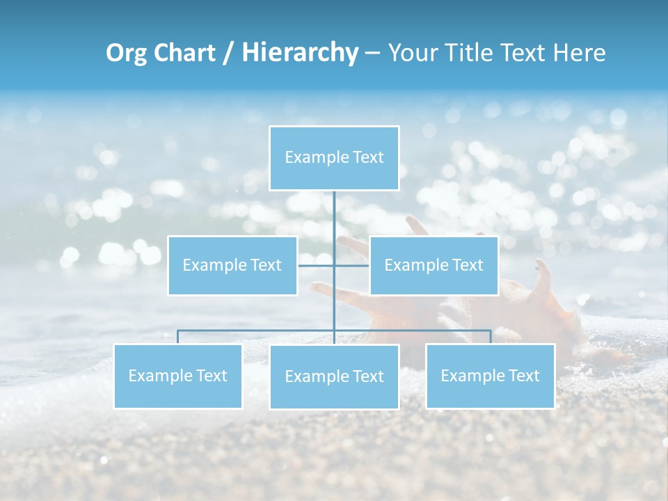 Shells On The Beach PowerPoint Template